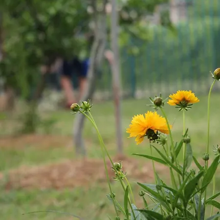 Shtepi Pushimi Durrës