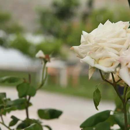 Shtepi Pushimi Appartamento