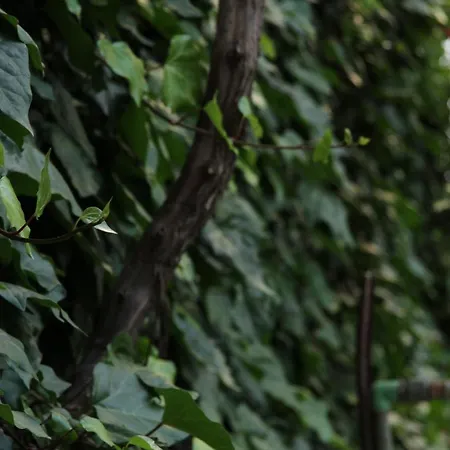 Shtepi Pushimi Appartement