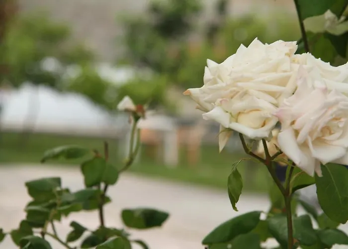Shtepi Pushimi Apartamento